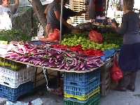 Athens Greece City Guide Exarhia Square
