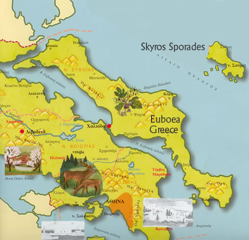 map euboea