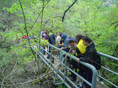 lousion gorge bridge