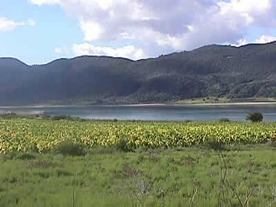 messolonghi wetlands