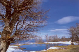 wetlands mt. smolikas