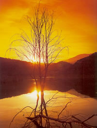 nestos lake at dusk