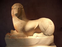 lion
