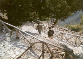 the stair's habd rail is the only thing wooden