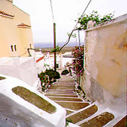 a back street view of kea