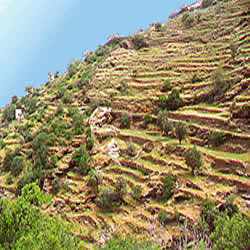 terraces for farming