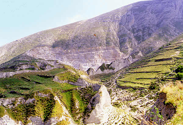 green terraced  slopes