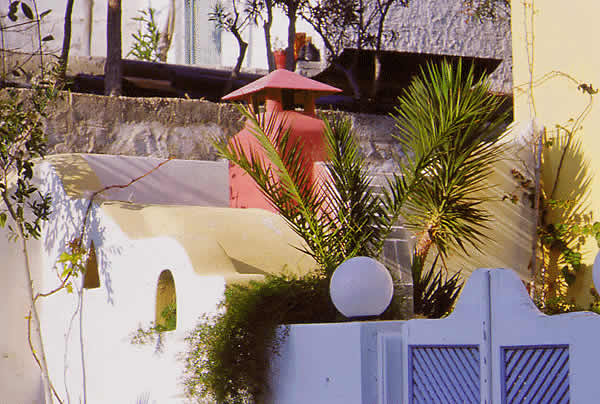 interesting colors in the is garden with BBQ