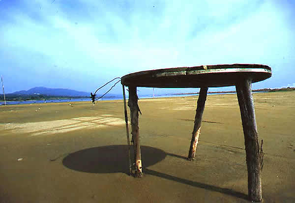 beach detrius