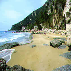 sandy beach