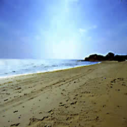 sandy beach