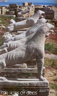 the lions terrace