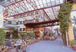 The Vika Mall