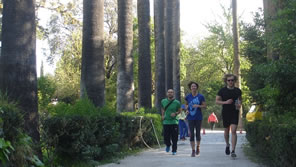 on the run