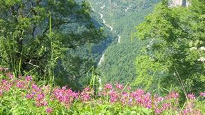 vikos gorge